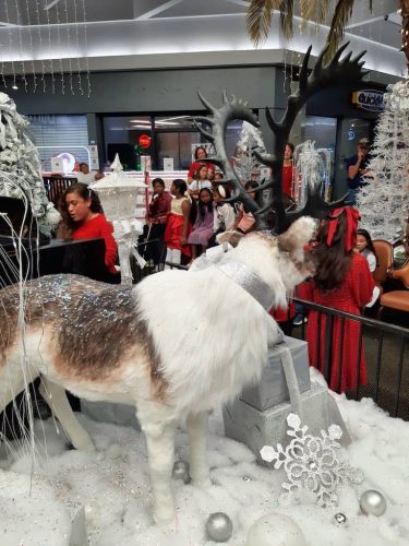 Music-School-Odessa-Texas-Community-Outreach-12